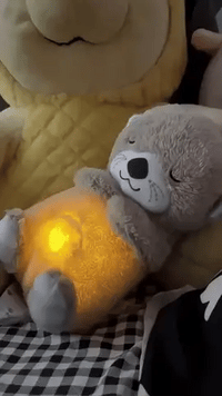 Thumbnail for Breathing Otter Plush Teddy🐻💤
